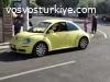 Sarı civciv (New beetle)