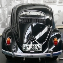 Beetle_1955_1200_Export