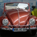 Beetle_Typ15